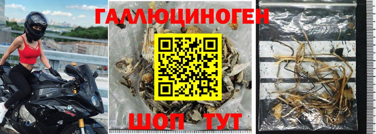 Псилоцибиновые грибы ЛСД  Вход с VPN  Надым  Галлюциногенные грибы GOLDEN TEACHER 