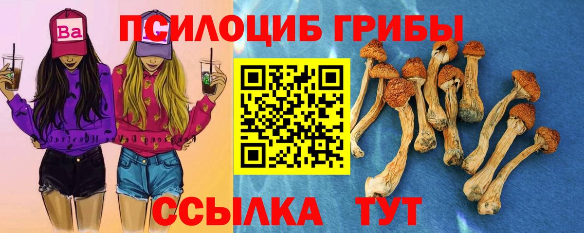 Галлюциногенные грибы Psilocybine cubensis Надым